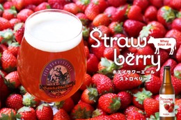 【乳酸菌 × 苺！常識を覆す味わいのビール】「ホエイサワーエール ストロベリー」限定発売 画像