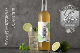 【世界が知らない爽快感！】希少な国産ライムと和ボタニカル使用の「国産ライムのジンモヒート」販売 画像