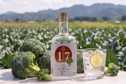 【石川県産ブロッコリーを使用したクラフトジン！】県ジンプロジェクト第19弾「石川県ジン」発売 画像