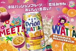 【新シリーズ「MEET! WATTA」始動！】第1弾「WATTA 沖縄パッション＆愛媛みかん」数量限定発売 画像