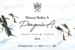 【ぴょこぴょこペンギンの可愛いワイン！】「シャトーマルス マスカット・ベーリーA ペングイナ 2024」などが新発売 画像