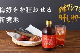 【梅干しと出汁の旨味が魅力のサワーベース！】「旨味マシマシ梅干しサワー」販売開始 画像