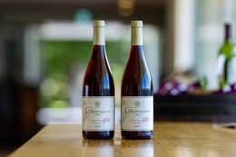 【30年以上の挑戦から誕生！】「千曲川 ピノ・ノワール 2025 飲み比べセット」販売 画像