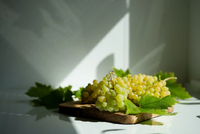 果実を食べているような味わいの白ワイン「Symn（シン）」がMakuakeにて販売中！