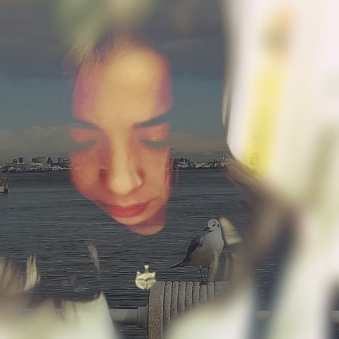  画像