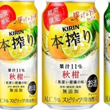 掛け軸　秋柑 楽天市場】10年保証 掛け軸 ミニ掛け軸 和風 花鳥画 秋掛け 紅葉