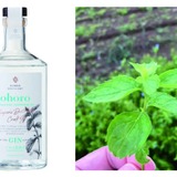 ［終売品］ohoro (ニホンハッカ) クラフトジン 終売品］ohoro (ニホンハッカ) クラフトジン ohoro GIN - ニセコ