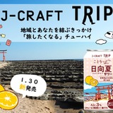 サワーページ SOUR SOLUTION サワー(全アイテム) - 南国スケボーショップ砂辺
