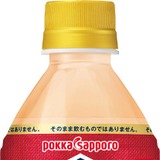 発売30周年を機に新発売！】お酒にプラス「彩香レモン500mlPET」「彩香