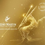 ホリデーシーズンを彩る特別なギフトコレクション！】「レミーマルタン