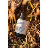 H・L・シダネル、VERSAILLES、海外版超希少レゾネ、新品額付 樹齢35年超え！希少な小諸産シャルドネを厳選】「ソラリス 小諸