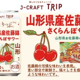 さくらんぼの王様を使用！】「J-CRAFT TRIP 山形県産佐藤錦さくらんぼ