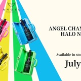 esquire トランク HALO好きの方に Amazon.co.jp: エスクァイア