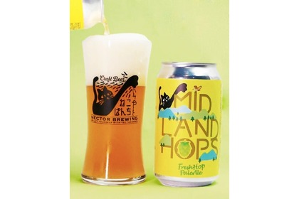 【埼玉ならではの1本!フレッシュホップの限定ビール】「MID LAND HOPS」の一般発売が開始