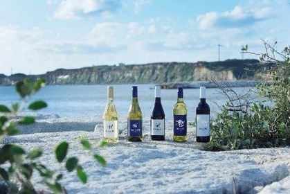 【貸切列車イベント！】「ワインソムリエと楽しむ！～銚電JAF号崖っぷち行～」開催