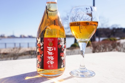 【数々の賞を受賞・日本一の「百年梅酒」の限定モデル！】「梅酒ヌーボー　百年梅酒 春花」が発売