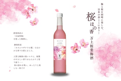 【桜餅のような香りを溶け込ませた梅酒！】初春に寄り添う1本「桜ほの香 万上桜葉梅酒」が発売