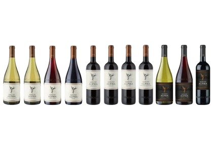 「モンテス・アルファ」シリーズがリニューアル！そして新しい「モンテス・アルファ・カベルネ・ソーヴィニヨン」も発売！