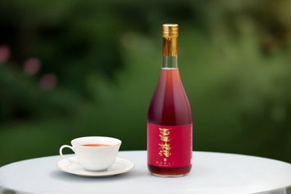 【日本一の梅酒 × セイロン紅茶！】これまでにない「百年梅酒　紅茶仕立て」新発売
