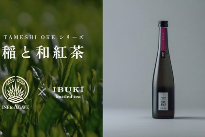 【紅茶を使ったのにマスカットのような香り！？】クラフトサケ「稲と和紅茶」が新登場