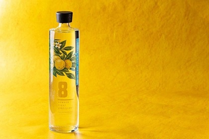 【湘南ゴールドのクラフトジン！】「NUMBER EIGHT GIN 2026 Gold Edition」限定発売