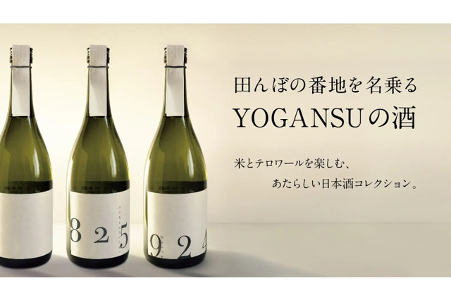 日本酒 十四代 金平糖 とオリジナルボンボニエール 大人気新作