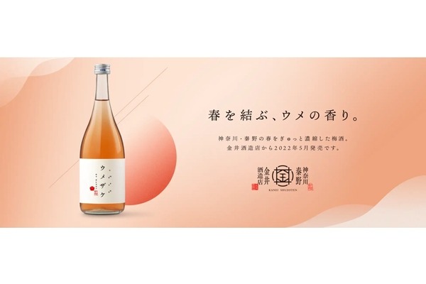 秦野の梅を日本酒にじっくり漬け込んだ梅酒「白笹鼓　ウメザケ」販売！
