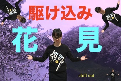 【今週が勝負】桜chill寸前！”駆け込み花見”で春を感じてみないか？ 画像