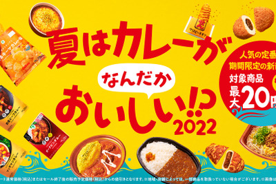 「夏はなんだかカレーがおいしい」ので、ファミマ新商品で“ワンコイン家飲みセット”を考えてみた 画像