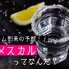 メキシコ名産のお酒「メスカル」とは？テキーラとの違いも解説 画像