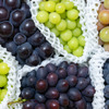 【ソムリエコラム】ワイン用ブドウと食用ブドウの違いとは？それぞれの特徴を徹底比較！ 画像