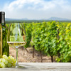 ゲヴュルツトラミネールワインの人気おすすめランキング10選【専門家厳選】 画像