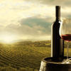 「グルナッシュ」ワインの人気おすすめランキングTOP10～専門家厳選～ 画像