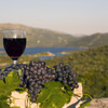 【ソムリエ厳選】人気のクロアチアワインおすすめランキングTop10 画像