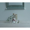 クラフトジン「HOLON SEASONAL 夏 ＜梅紫蘇＞」が限定販売！ 画像