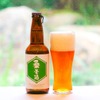 京丹後市の旬の「桑の葉」を使用したクラフトビール「桑麦酒」が販売！ 画像