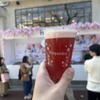 【“花見の聖地”で最高のビールが楽しめる！？】「ヒューガルデン とっておきの桜体験」キャンペーンの様子をレポート 画像