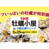 【入場無料！バケツいっぱいの“牡蠣”を楽しむ注目イベント】うお市「牡蠣小屋」in大阪北港マリーナ開催 画像