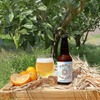 【未来を考えたサステナブルなビール！】「TOWN CRAFT -まちの未来を考えるビール- / YUKOH SAISON」販売 画像