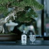 【盆栽の主役「松」のクラフトジン！】「LUO 盆栽ジン-Bonsai Gin-」販売 画像