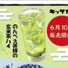 【お酒をおいしくするためのお茶「のんべえ茶師」の玄米茶ハイ！】「PRONTO」で販売 画像