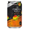 【数量限定】セブンで贅沢な一杯！「The CHOYA 銀座BAR ブランデー梅ハイボール」 画像