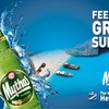 【日本再上陸！ギリシャの代表的なビール】爽やかな一杯「Mythos」「FIX」提供開始 画像