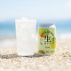 【新感覚アルコール飲料！】梅酒ソーダ割りとも梅サワーとも違う「しまなみ生サワー 南高梅」登場 画像
