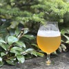 【森の香りを纏った1本！よなよなビアワークス限定クラフトビール】第42弾「WORKS Ale#42 Forest Echo IPA」提供 画像