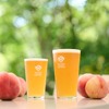 【ビールにぴったりな桃「まどか」を贅沢に使用！】季節限定クラフトビール「桃ビール2025」数量限定販売 画像