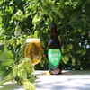 【収穫から24時間以内のホップ使用！まるでホップのシャンパン】「FRESH HOP IPA」数量限定販売 画像