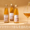 【ノンアルコールの新しい未来！】これまでとは一線を画すコンブチャ「HOKKAIDO TEA KOMBUCHA」販売 画像