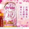 【沖縄の桜ビールが今年も登場！】冬の定番「オリオン　いちばん桜」が季節限定で発売 画像