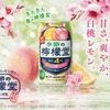 【大好評の春限定フレーバー！今年も登場】「季節の檸檬堂 春こい白桃とレモン」が発売 画像